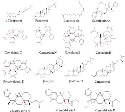 Ethanolic extract of Caesalpinia bonduc seeds triggers yeast metacaspase-dependent apoptotic pathway mediated by mitochondrial dysfunction through enhanced production of calcium and reactive oxygen species (ROS) in Candida albicans